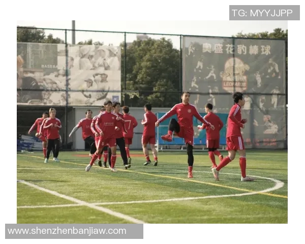 赛后分析：上海乒乓球队与深圳乒乓球队的默契配合与战术探讨